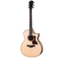 Taylor 814ce Special Edition | Next Generation | Sassafras & Bearclaw Sitka