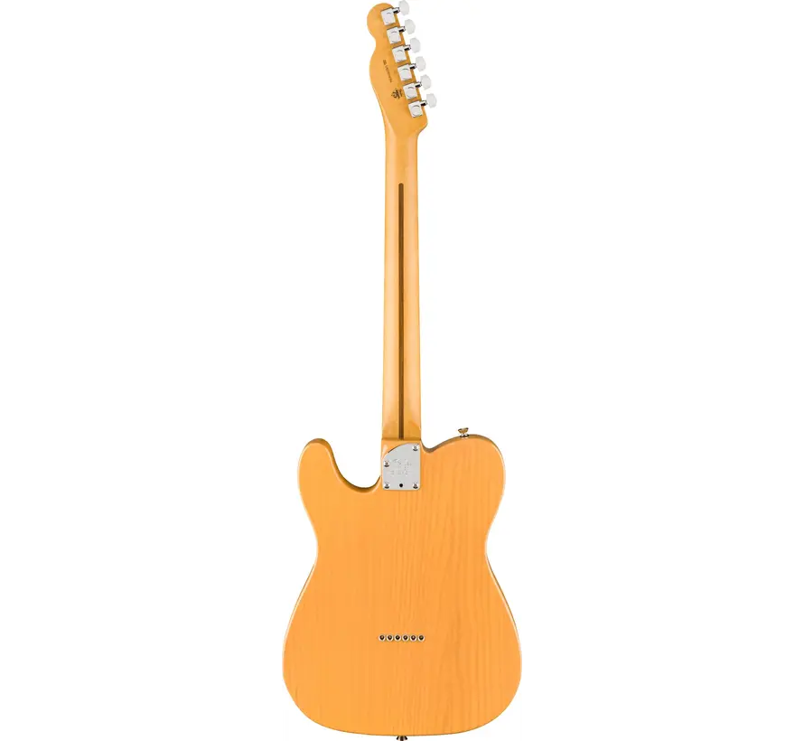 Fender American Professional Telecaster Butterscotch Blonde