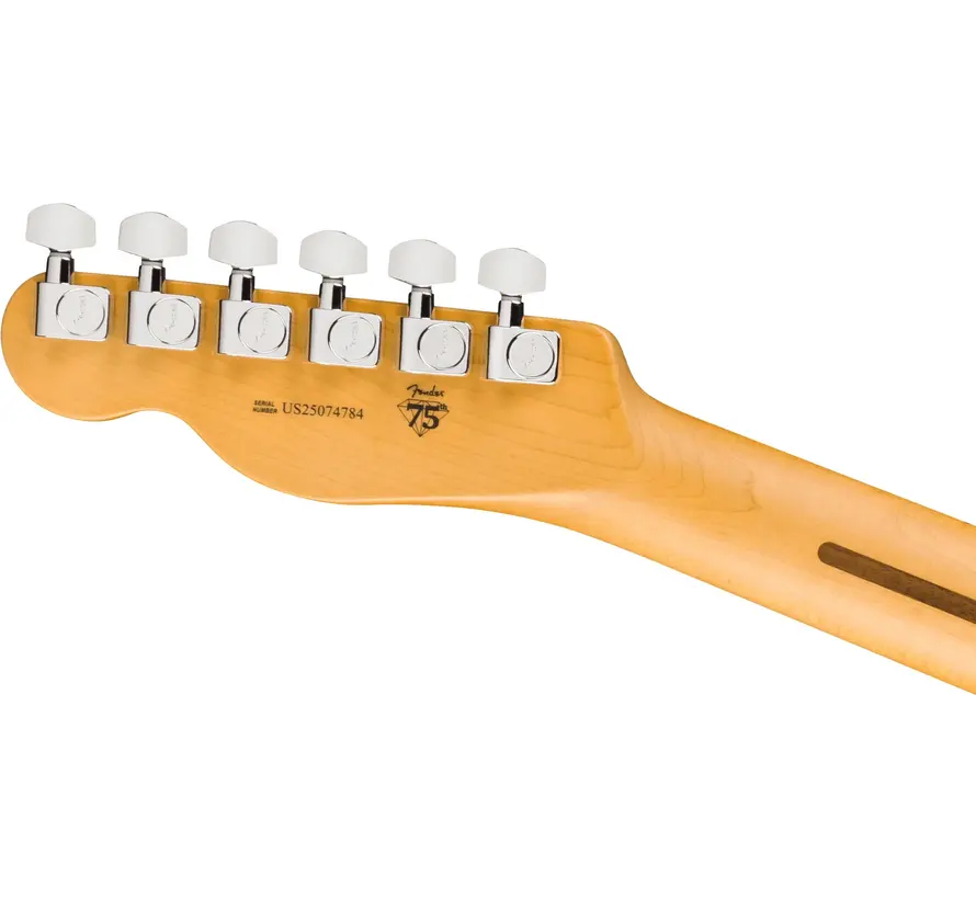 Fender American Professional Telecaster Butterscotch Blonde