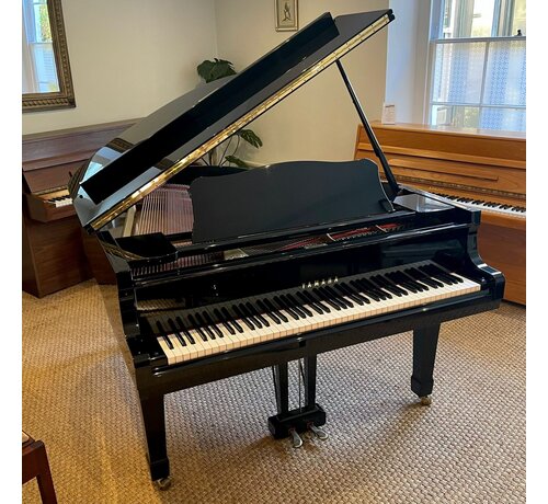 Yamaha Tweedehands Yamaha G2 op bestelling