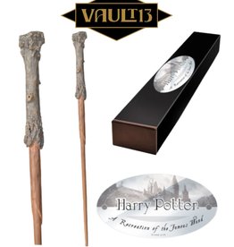 Harry Potter Wand: Harry Potter