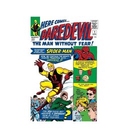 Marvel Mighty Marvel Masterworks: Daredevil Vol. 1 - While the City Sleeps TP DM Variant
