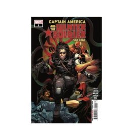 Marvel Captain America and the Winter Soldier Special #1