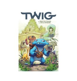 Image Twig TP