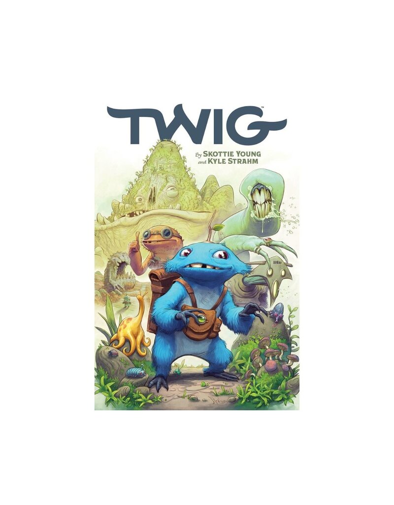 Image Twig TP