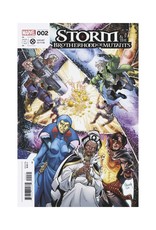 Marvel Storm & The Brotherhood of Mutants #2