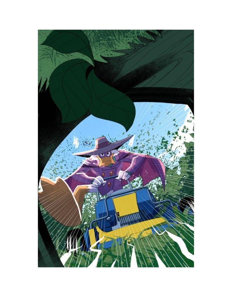 Darkwing Duck #4