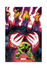 Marvel Hulk #14