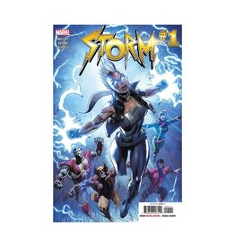 Marvel Storm #1