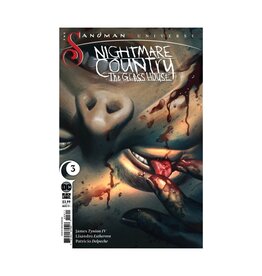 DC The Sandman Universe: Nightmare Country - The Glass House #3