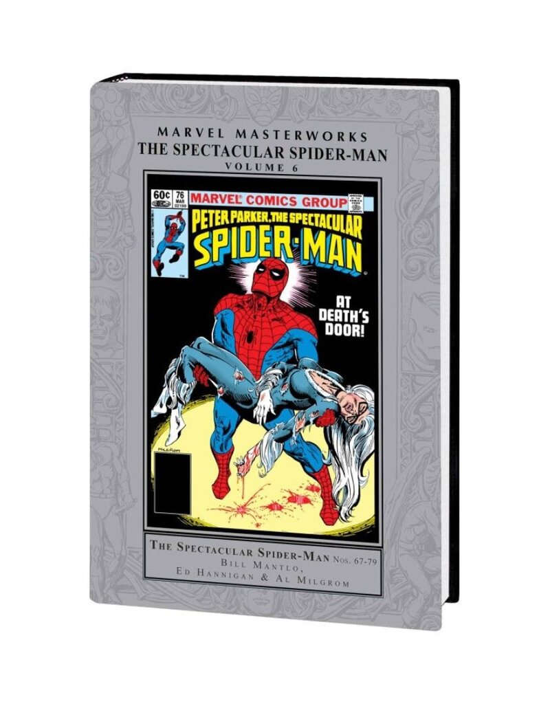 Marvel Marvel Masterworks: Spectacular Spider-Man Vol. 6 HC