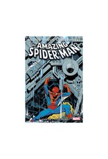 Marvel Mighty Marvel Masterworks: The Amazing Spider-Man Vol. 4
