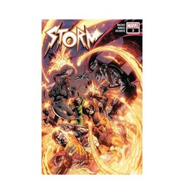 Marvel Storm #3