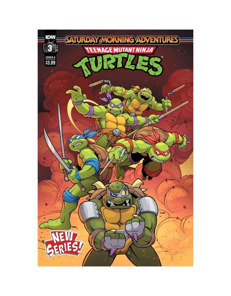 IDW Teenage Mutant Ninja Turtles: Saturday Morning Adventures Continued #3