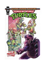 IDW Teenage Mutant Ninja Turtles: Saturday Morning Adventures Continued #3