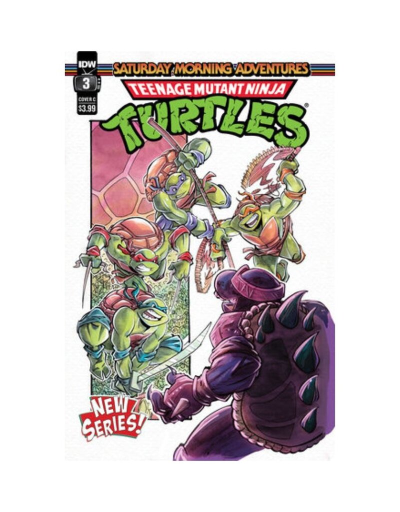 IDW Teenage Mutant Ninja Turtles: Saturday Morning Adventures Continued #3