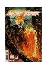 Marvel Ghost Rider #11 1:25 Stegman Variant
