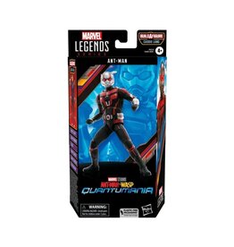 Hasbro Hasbro Marvel Legends Series Ant-Man