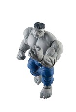 Hasbro Hasbro Marvel Legends Series Gray Hulk and Dr. Bruce Banner