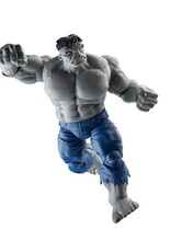 Hasbro Hasbro Marvel Legends Series Gray Hulk and Dr. Bruce Banner