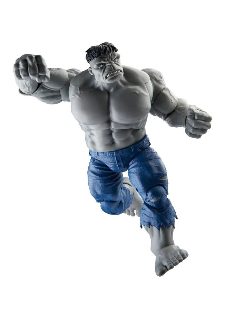 Hasbro Hasbro Marvel Legends Series Gray Hulk and Dr. Bruce Banner