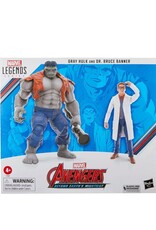 Hasbro Hasbro Marvel Legends Series Gray Hulk and Dr. Bruce Banner