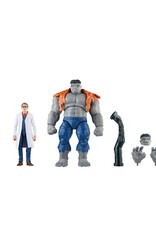 Hasbro Hasbro Marvel Legends Series Gray Hulk and Dr. Bruce Banner