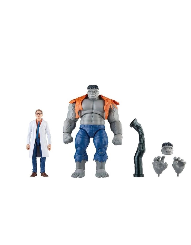 Hasbro Hasbro Marvel Legends Series Gray Hulk and Dr. Bruce Banner