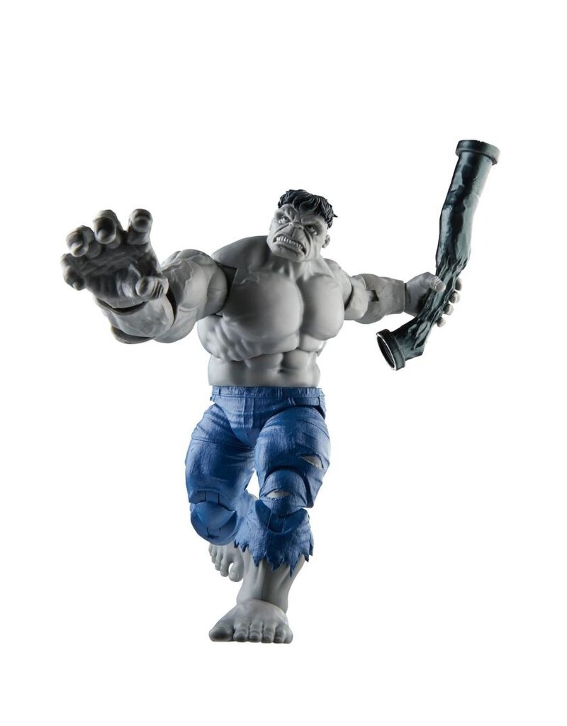 Hasbro Hasbro Marvel Legends Series Gray Hulk and Dr. Bruce Banner