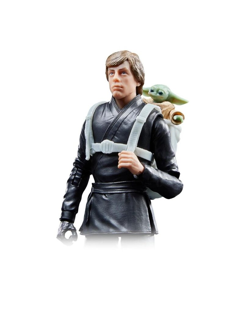 Hasbro Star Wars The Black Series Luke Skywalker & Grogu