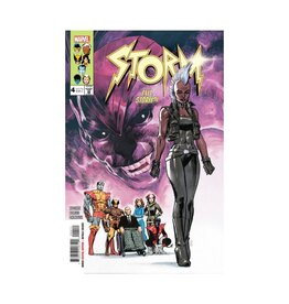 Marvel Storm #4