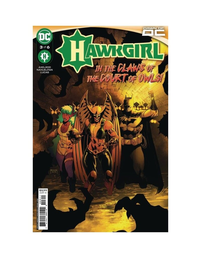 DC Hawkgirl #3