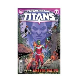 DC Titans #4