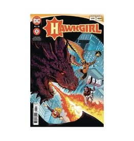 DC Hawkgirl #4