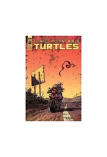 IDW Teenage Mutant Ninja Turtles #144