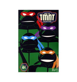 IDW TMNT: Best Of TMNT Collection TP
