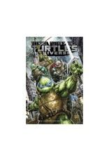 IDW Teenage Mutant Ninja Turtles: Universe Vol. 1: The War to Come TP