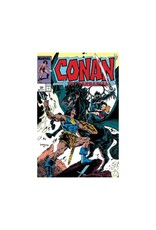 Marvel Conan The Barbarian: The Original Marvel Years Omnibus Vol. 8