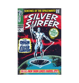 Marvel The Silver Surfer Omnibus Vol. 1 HC