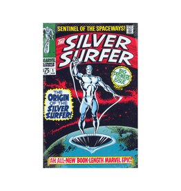 Marvel The Silver Surfer Omnibus Vol. 1 HC