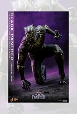 Black Panther Movie Masterpiece Action Figure 1/6 Black Panther (Original Suit) 31 cm - HOT911691