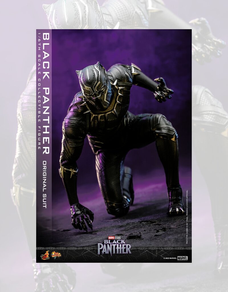 Black Panther Movie Masterpiece Action Figure 1/6 Black Panther (Original Suit) 31 cm - HOT911691