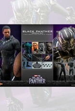 Black Panther Movie Masterpiece Action Figure 1/6 Black Panther (Original Suit) 31 cm - HOT911691