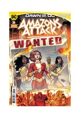 DC Amazons Attack #2