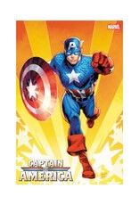 Marvel Captain America #3 1:25 Land Variant