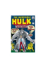 Marvel The Incredible Hulk Omnibus Vol. 1 HC 2022 Edition