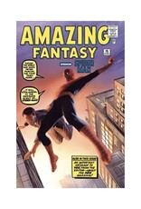 Marvel The Amazing Spider-Man Omnibus HC