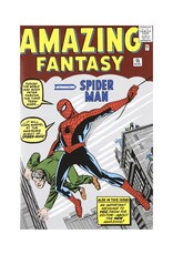 Marvel The Amazing Spider-Man Omnibus HC