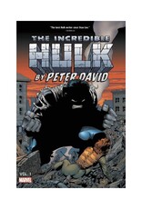 Marvel Incredible Hulk by Peter David Omnibus Vol. 1 HC