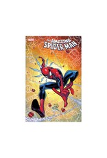 Marvel The Amazing Spider-Man #40